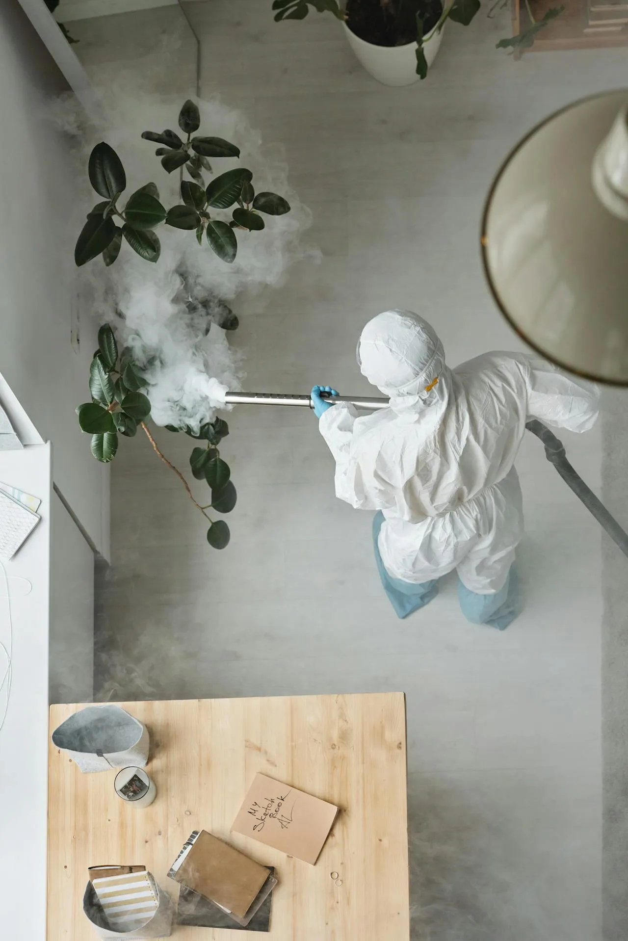 Indoor fumigation of houseplant area